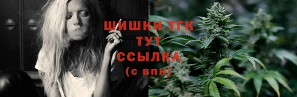 индика Фурманов