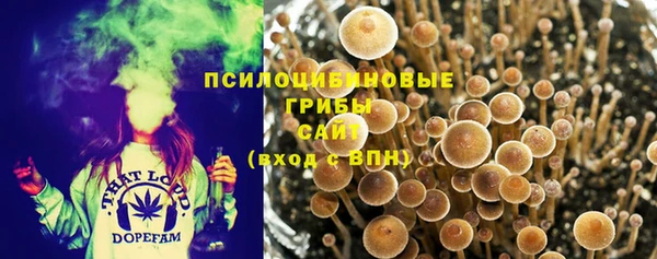 стафф Хадыженск
