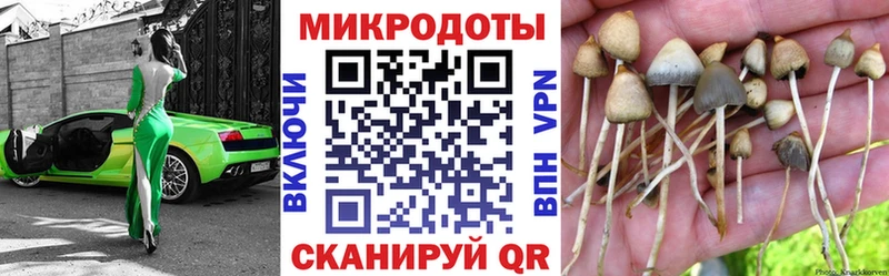 Псилоцибиновые грибы мухоморы  Купить закладки  Назарово 